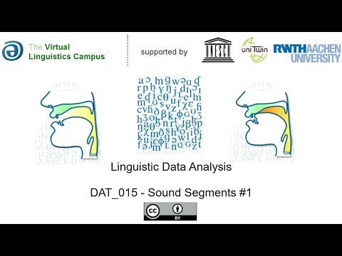 DAT_015 - Sound Segments