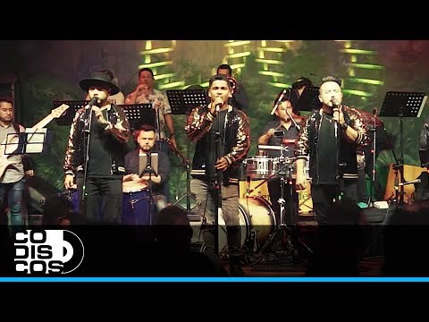Fiesta Del Reencuentro, Bandafiesta - En Vivo