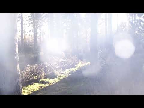 Adobe Premiere Pro Template: Twirling Bokeh Transition