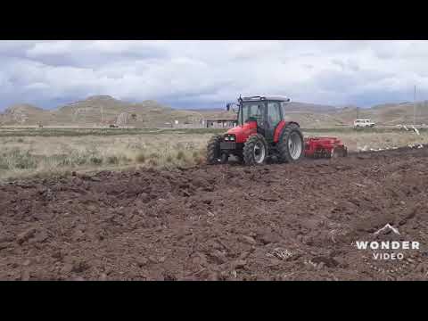 TRACTOR AGRICOLA MASSEY FERGUSON 4255 turbo  Zela P.