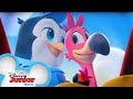 Pip and Freddy's Favorite Music Videos 🐧 | Compilation | T.O.T.S. | Disney Junior