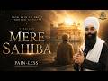 Mere Sahiba | Bhai Harinder Singh Ji | Nirvair Khalsa Jatha UK | Pain-Less EP