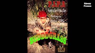 Pipa -  Buddddd Grass (ANTIGUA SOCA 2015)