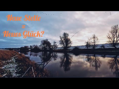 Winter feeder fishing on a small river - Simple proves its worth 👍🏻