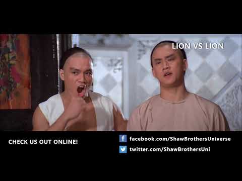 Interview with Lo Meng: The Difference Between Martial Arts in Movies and Real Life