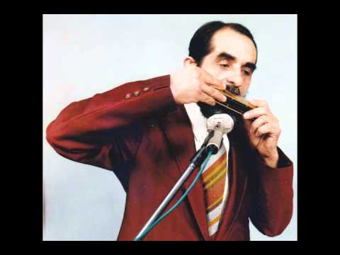 Nelu Stefan - Sarbe Oltenesti - Fratii Goiana (Rapsodia Romana)