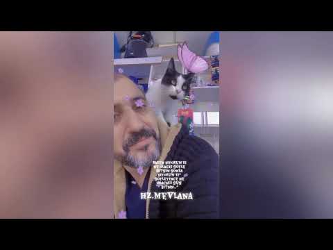 PANDA AND KENAN'S LOVE🤣🥰