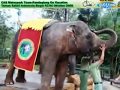 Taman Safari Indonesia Song By:Disney-Lion King ...