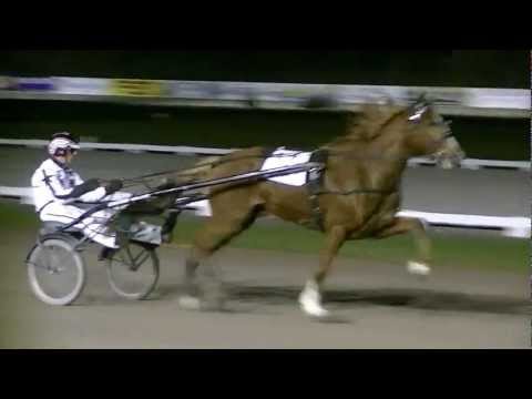 2011 Prix So Lovely Girl (Trotteur Francais) - Quatuor du Bouffey (Stefan Schoonhoven)