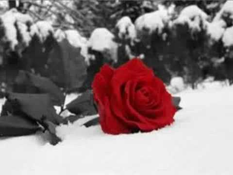 Amigos pela Fé - Anjos de Resgate