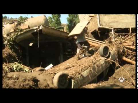 La fuga increíble de animales de un zoológico de Georgia tras inundaciones