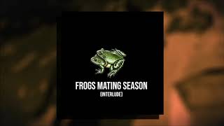 Frogs Mating Season (Interlude) Music Video