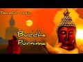 Buddha Purnima Status Budham Sharnam Gacchami Status Budh Purnima Status Gautam Buddha Status