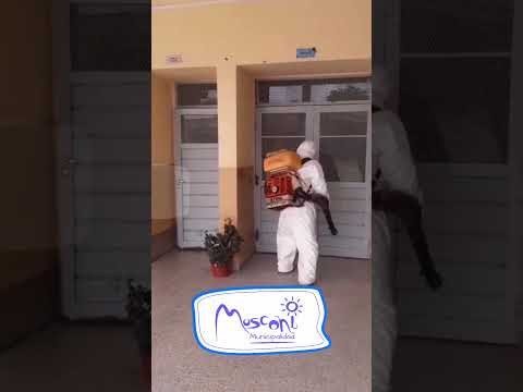 Fumigación para prevenir