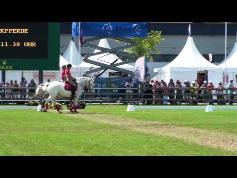 CHIO Aachen 2014 Barockpferdetag