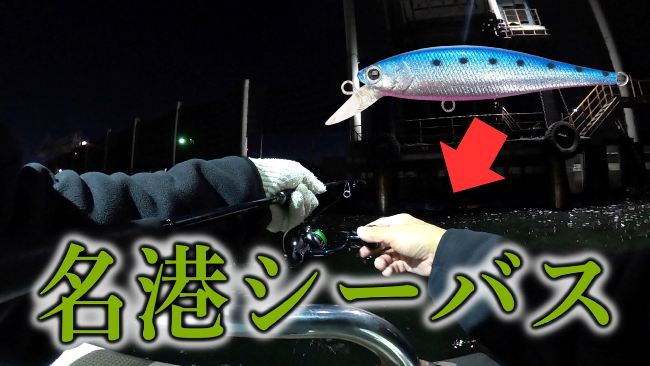 【名古屋港】サカナが浮いたら即ミノーを投げて攻略‼︎【ビーフリーズ78S 】