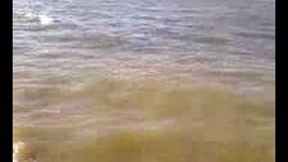 preview picture of video 'the Ross Barnett Reservoir Waves'