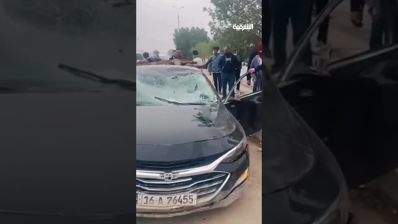 فيديو | سائق سيارة في النجف يصدم بعيراً بعد ظهوره أمامه فجأة على طريق المطار