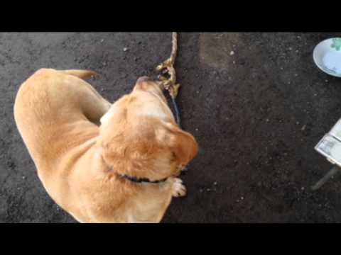 Gabriel Chętnicki - motocross Toruń tor Lotnisko