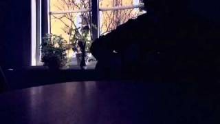 Henrik Skanfors | Diary {3}