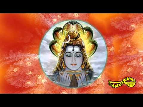 Swami Nan Undran - San Marga - Sudha Ragunathan