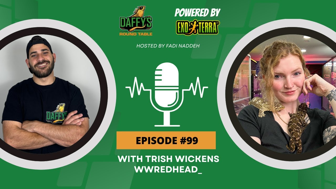 100+ Reptiles, 3 Boys, and One Super Mom With Trish Wickens