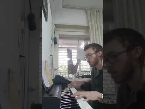 Johto Yerushalmi (Green Artscroll)