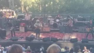 The Joke Explained - Wilco (Sound Summit)