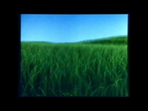 Blowin' in the Wind (found Pixar animated short film; 1985)-8K Remaster