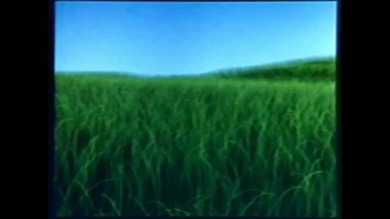 Blowin' in the Wind (found Pixar animated short film; 1985)-8K Remaster