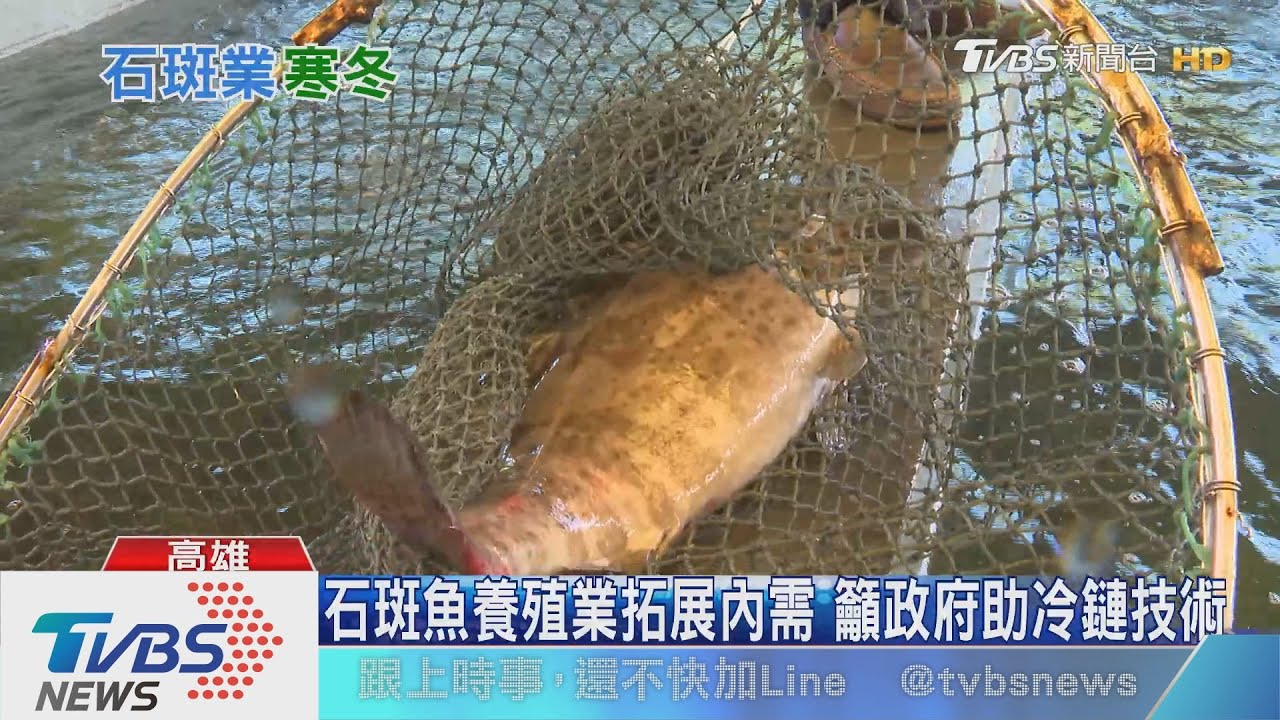 兩岸ECFA若終止? 「這個產業」剉咧等