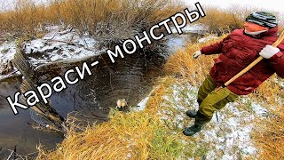 Ссылка