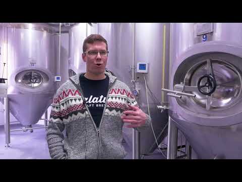 Interview with the Head Brewer of Browar Palatum