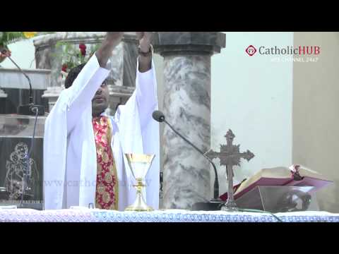 Friday English Mass at St  Joseph's Cathedral Gunfoundry 03 01 2014 HD