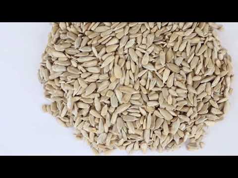 Sunflower Seeds