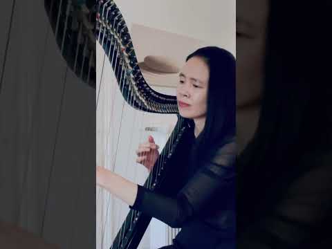 Tomas Kovacs, Terry Joiner - Bundle of Joy (harp cover short)