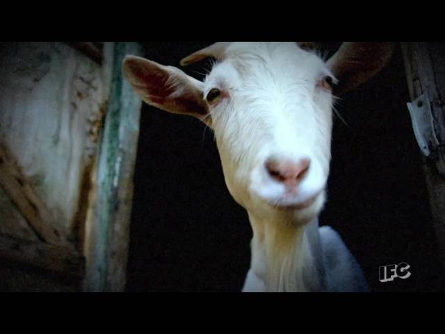 Stan Against Evil - 7.5