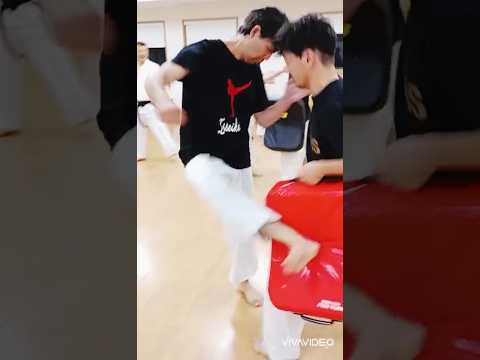 崩しから　かかと蹴り　ミット稽古　新潟市空手　一成会　 #workout #空手 #karate #一成会 #新潟市空手 #shorts