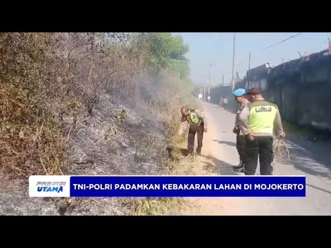 TNI-POLRI PADAMKAN KEBAKARAN LAHAN DI MOJOKERTO