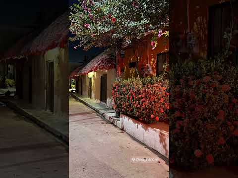 Una noche en Ciénaga de Oro #shorts #suscribe #colombia