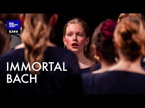 Immortal Bach – Knut Nystedt (J.S. Bach) // DR Pigekoret (LIVE)