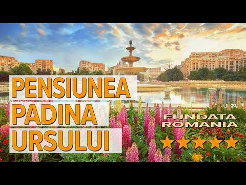 Pensiunea Padina Ursului hotel review | Hotels in Fundata | Romanian Hotels