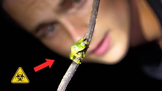 The DEADLIEST Animals In Costa Rica!