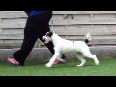 Jonttu's movement !!!