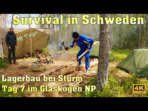 Tag 7: Lagerbau bei Sturm im Glaskogen /10 Tage Survival in Schweden