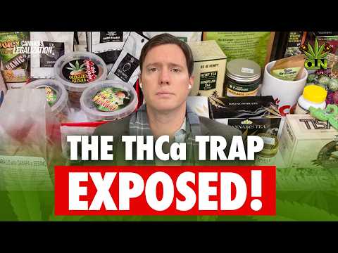The $30 BILLION Loophole That Accidentally Legalized It? 🌿