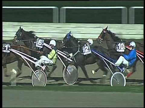 Trotto 29/10/2015 - 7° corsa