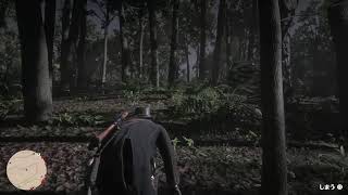 RDR2 5周目 #145