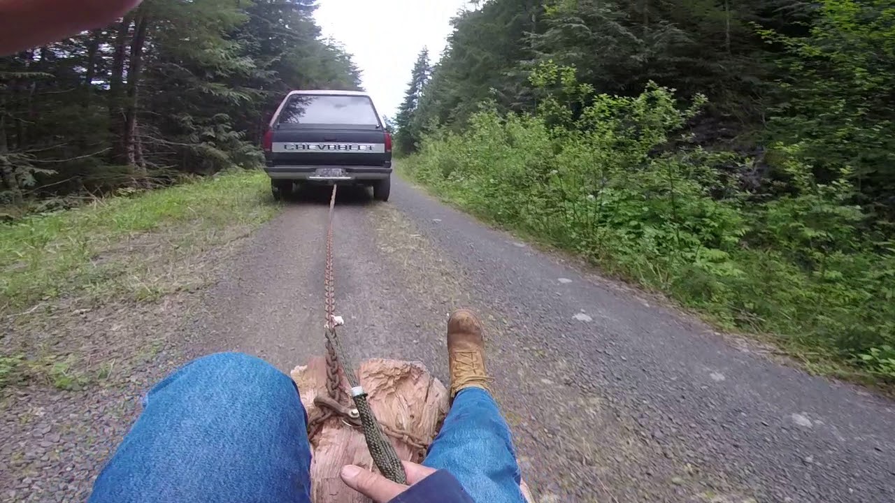 Log riders point of view; a quiet stroll through the woods.