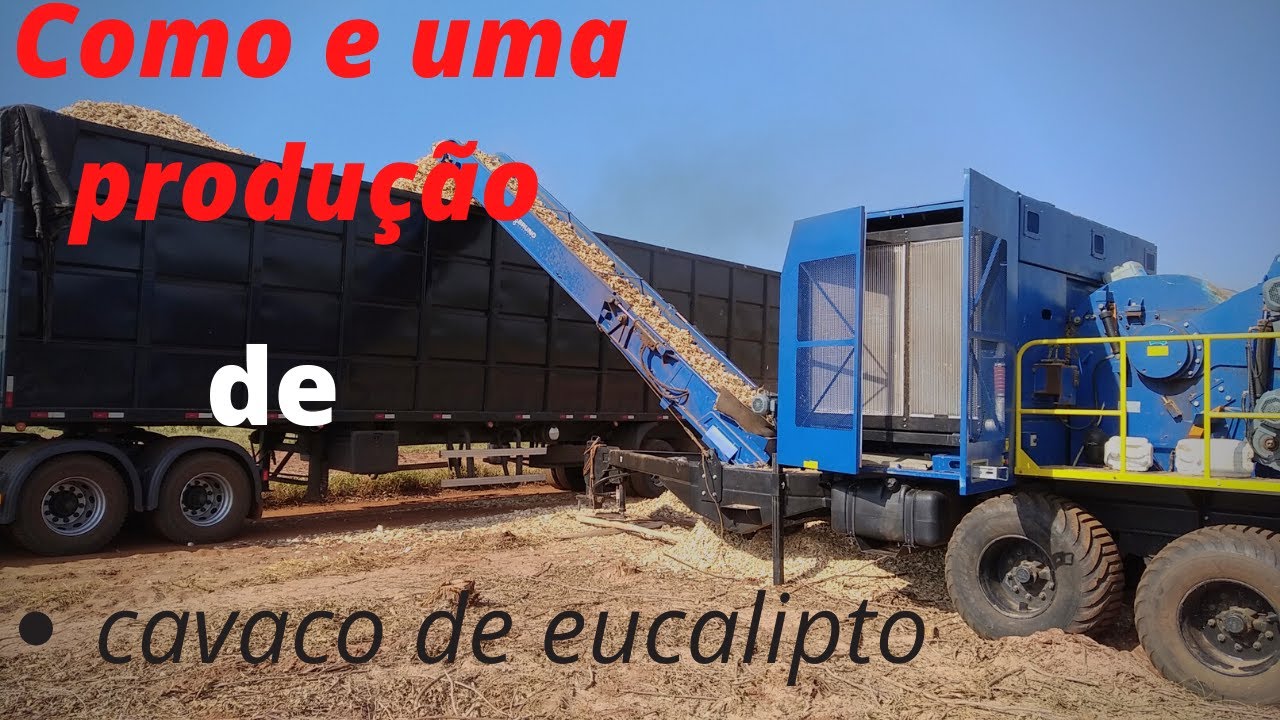Como e uma produção de cavaco de eucalipto